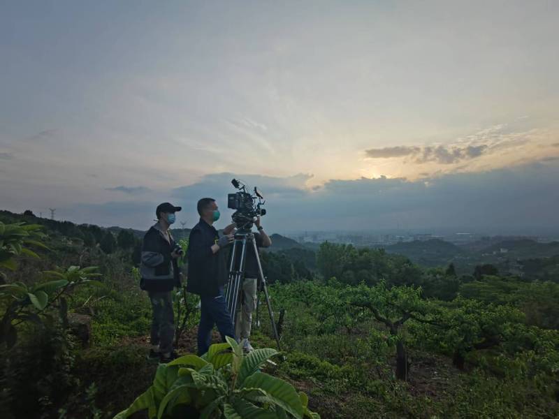 创意破圈！东山区电商产品宣传视频用故事化叙事引爆流量