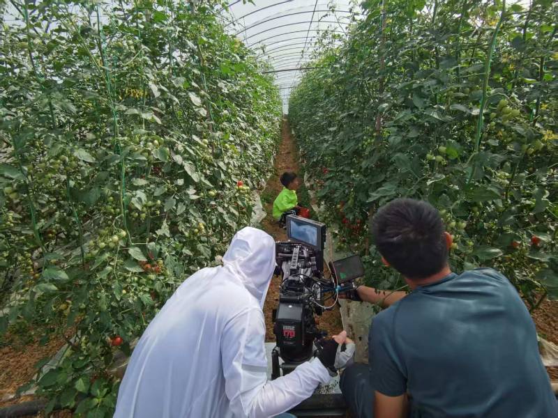 东山区产品宣传视频拍摄公司进阶指南，助力品牌抢占传播高地